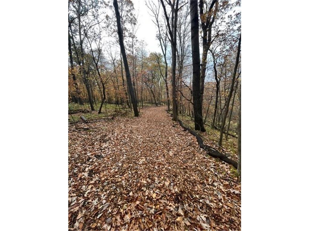 Lot 4 Tiger Street NW Princeton MN 55371 - Blue 7086141 image19