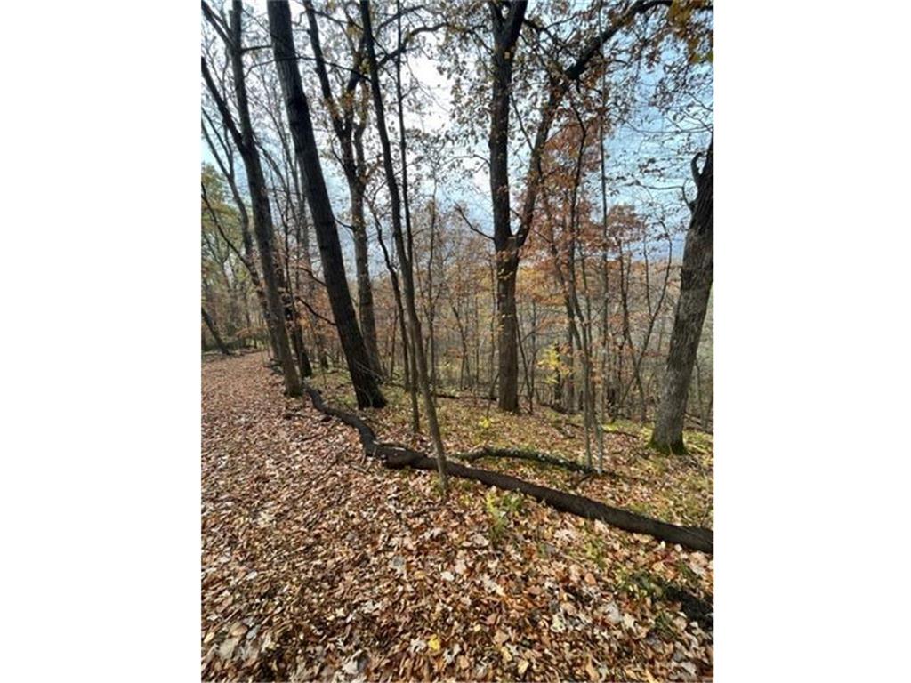 Lot 4 Tiger Street NW Princeton MN 55371 - Blue 7086141 image20