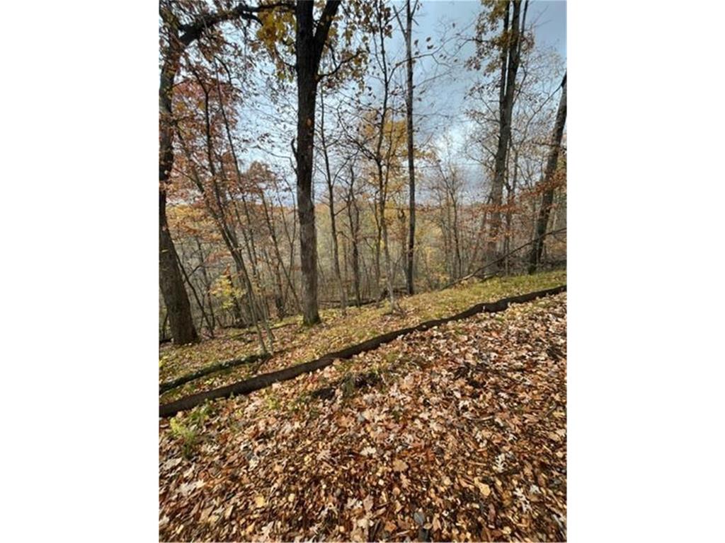 Lot 4 Tiger Street NW Princeton MN 55371 - Blue 7086141 image22