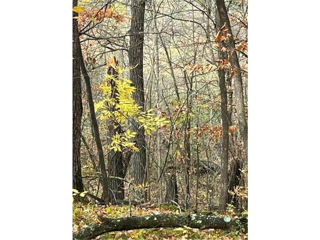 Lot 4 Tiger Street NW Princeton MN 55371 - Blue 7086141 image23