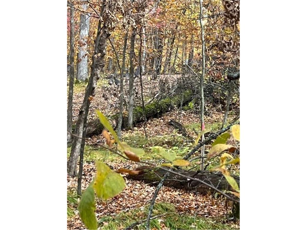 Lot 4 Tiger Street NW Princeton MN 55371 - Blue 7086141 image24