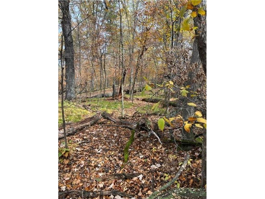 Lot 4 Tiger Street NW Princeton MN 55371 - Blue 7086141 image25