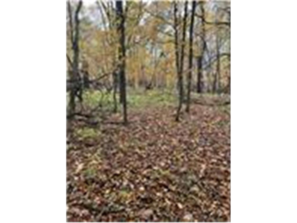 Lot 4 Tiger Street NW Princeton MN 55371 - Blue 7086141 image28