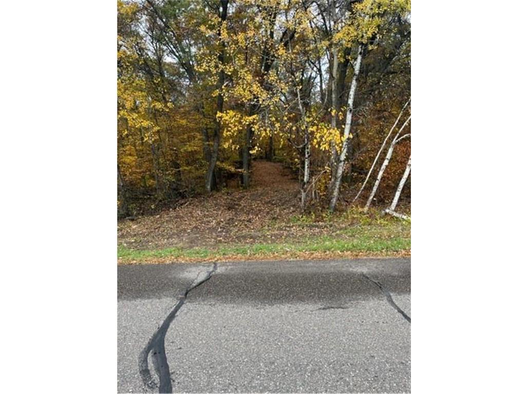 Lot 4 Tiger Street NW Princeton MN 55371 - Blue 7086141 image3