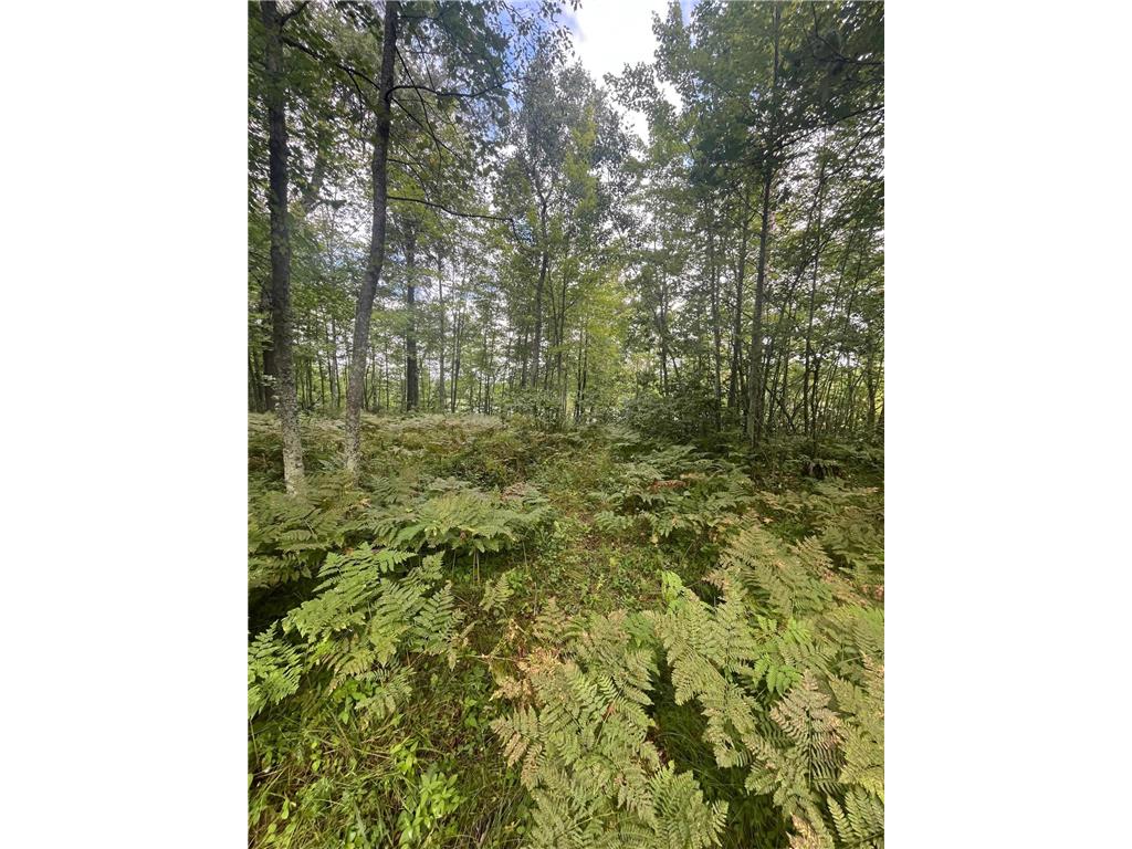 Lot 43 Deerpath Trail Way Danbury WI 54830 - Culbertson 6777636 image10