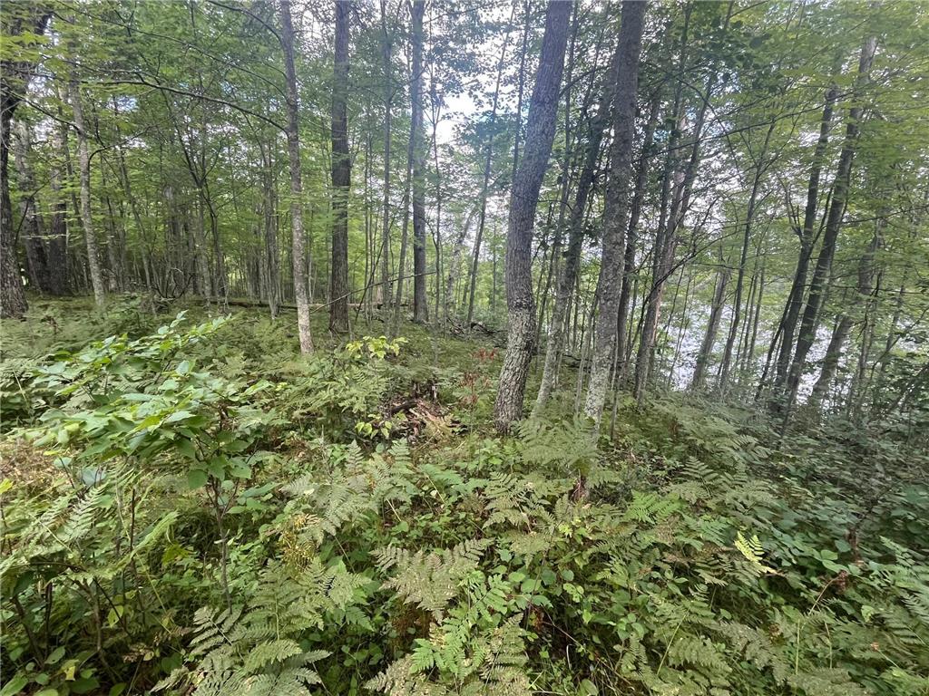 Lot 43 Deerpath Trail Way Danbury WI 54830 - Culbertson 6777636 image11