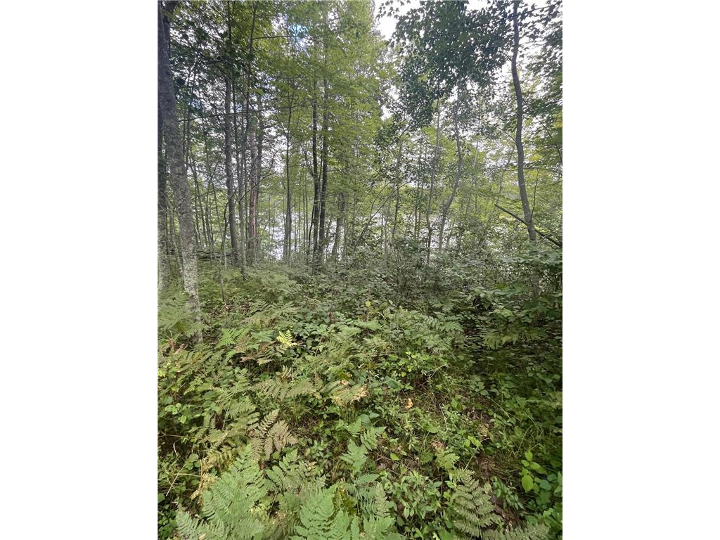 Lot 43 Deerpath Trail Way Danbury WI 54830 - Culbertson 6777636 image12