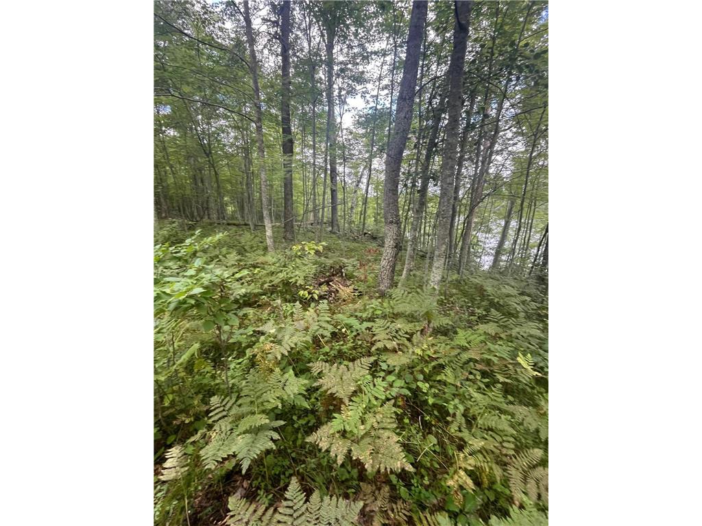 Lot 43 Deerpath Trail Way Danbury WI 54830 - Culbertson 6777636 image13