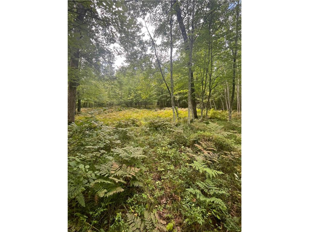 Lot 43 Deerpath Trail Way Danbury WI 54830 - Culbertson 6777636 image14