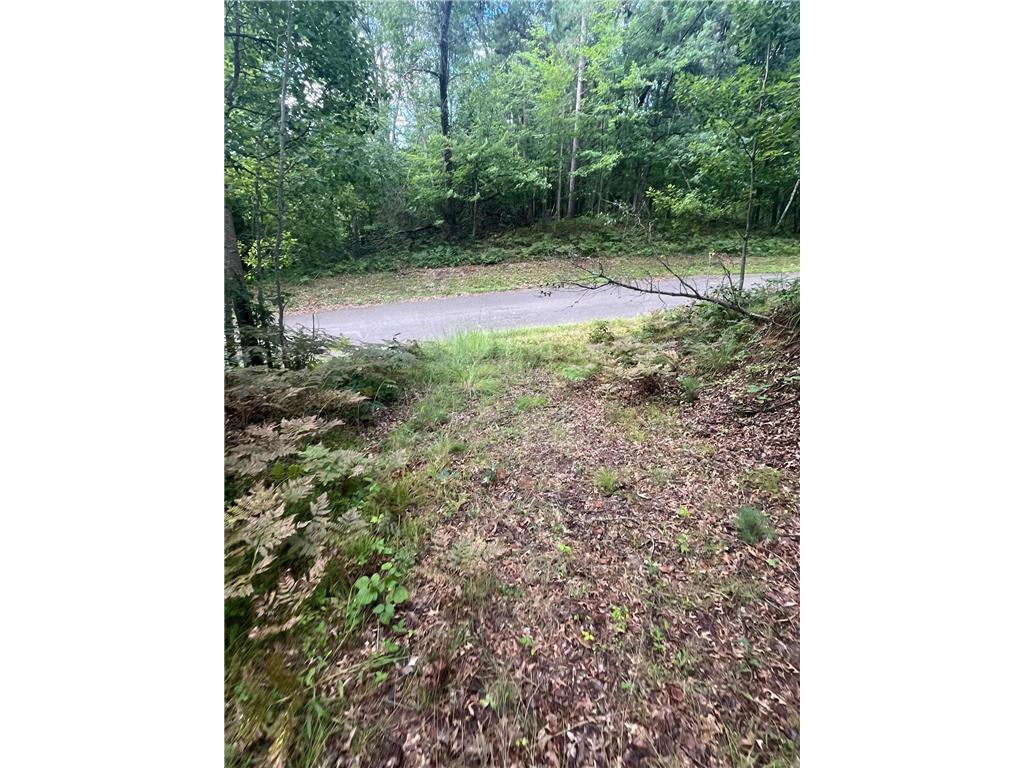 Lot 43 Deerpath Trail Way Danbury WI 54830 - Culbertson 6777636 image15