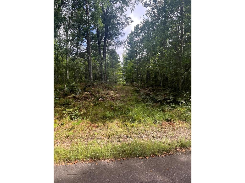 Lot 43 Deerpath Trail Way Danbury WI 54830 - Culbertson 6777636 image16