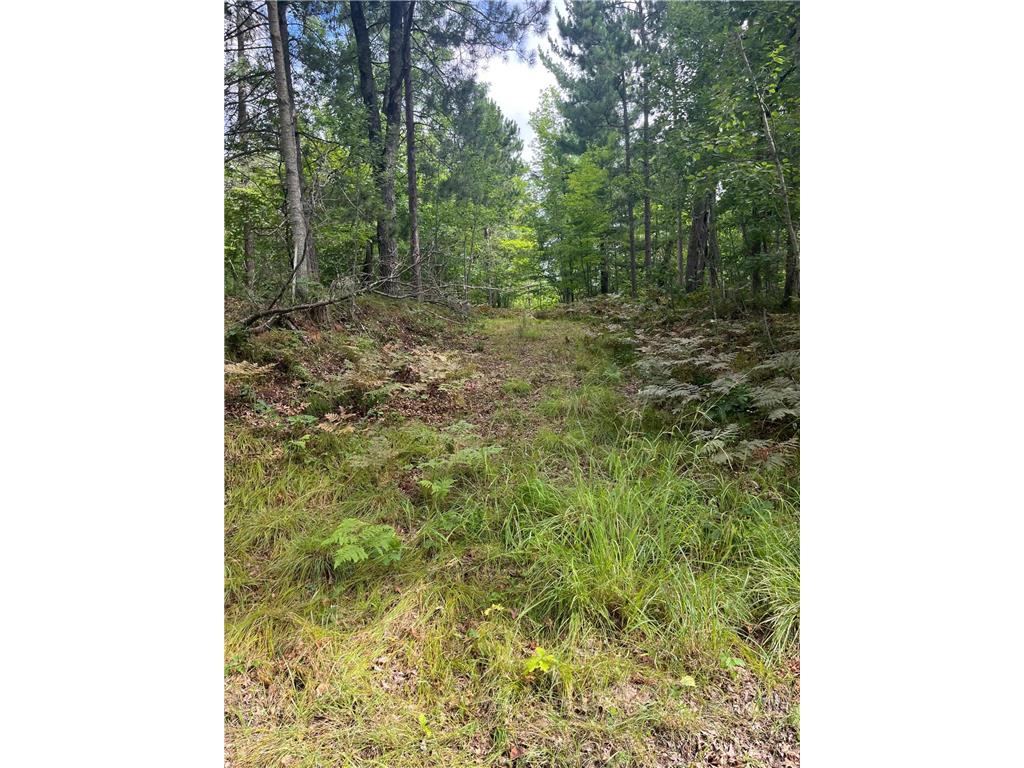 Lot 43 Deerpath Trail Way Danbury WI 54830 - Culbertson 6777636 image17