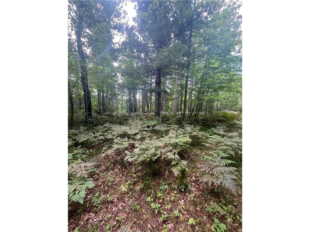 Lot 43 Deerpath Trail Way Danbury WI 54830 - Culbertson 6777636 image2