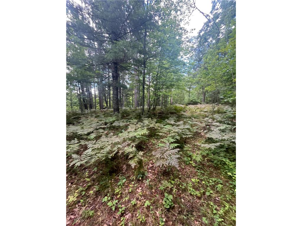 Lot 43 Deerpath Trail Way Danbury WI 54830 - Culbertson 6777636 image3