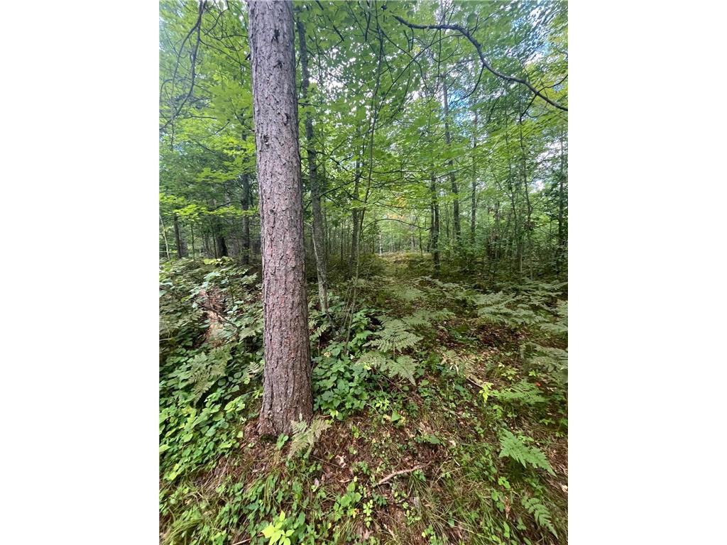Lot 43 Deerpath Trail Way Danbury WI 54830 - Culbertson 6777636 image4