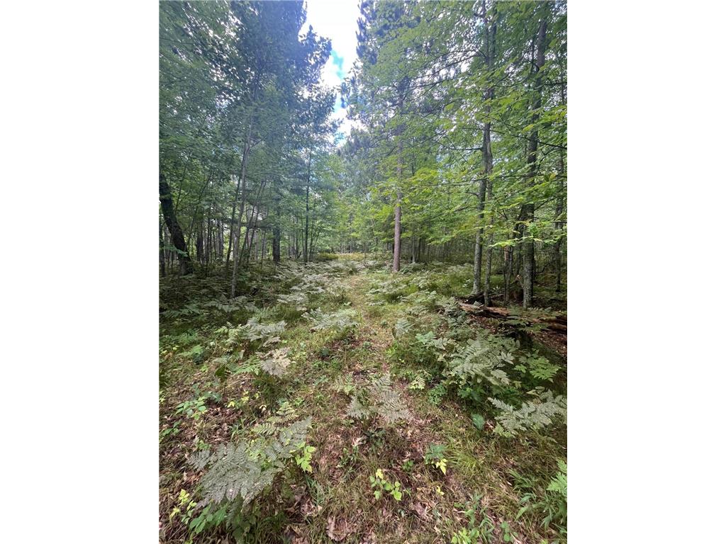 Lot 43 Deerpath Trail Way Danbury WI 54830 - Culbertson 6777636 image7