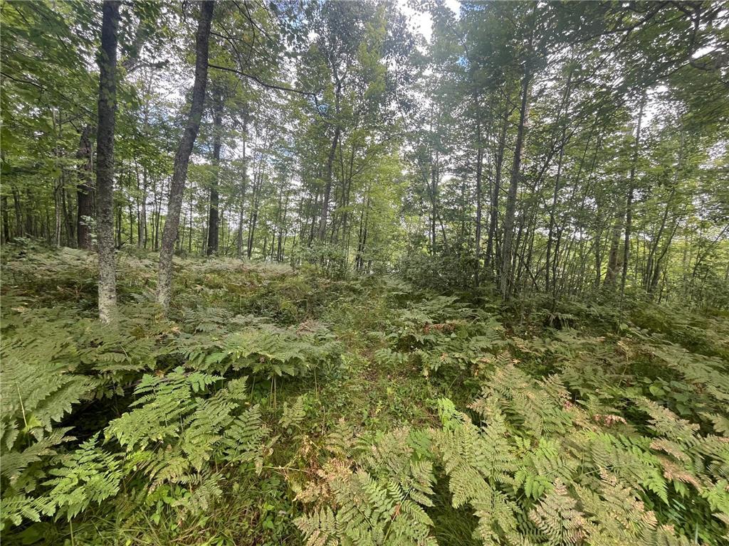 Lot 43 Deerpath Trail Way Danbury WI 54830 - Culbertson 6777636 image9