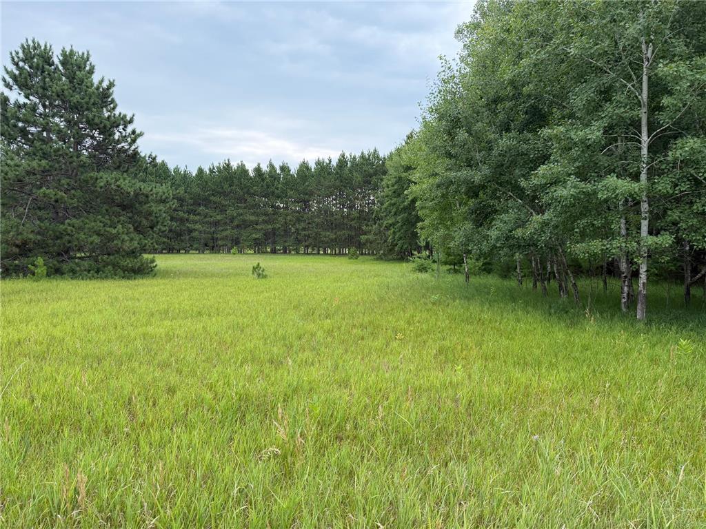 Lot 43 Hanscom Lake Trail Way Danbury WI 54830 7115552 image2