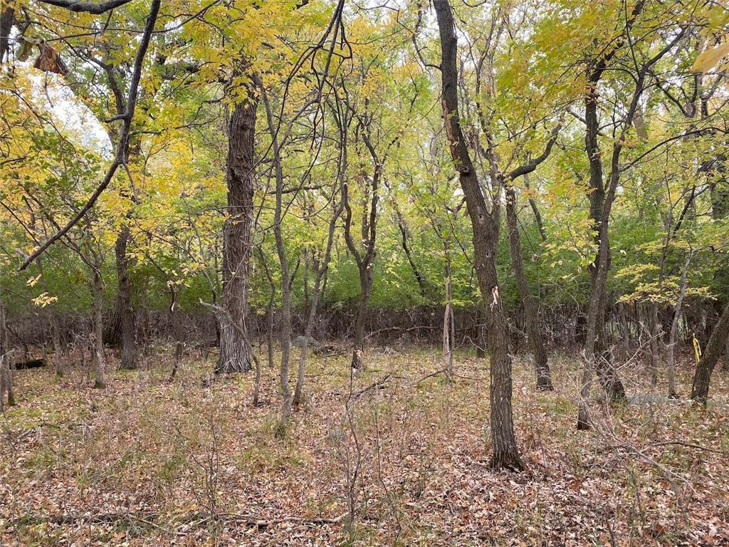 Lot 43 Lakota Island Estates Big Stone City SD 57216 - Big Stone Lake 6758345 image10