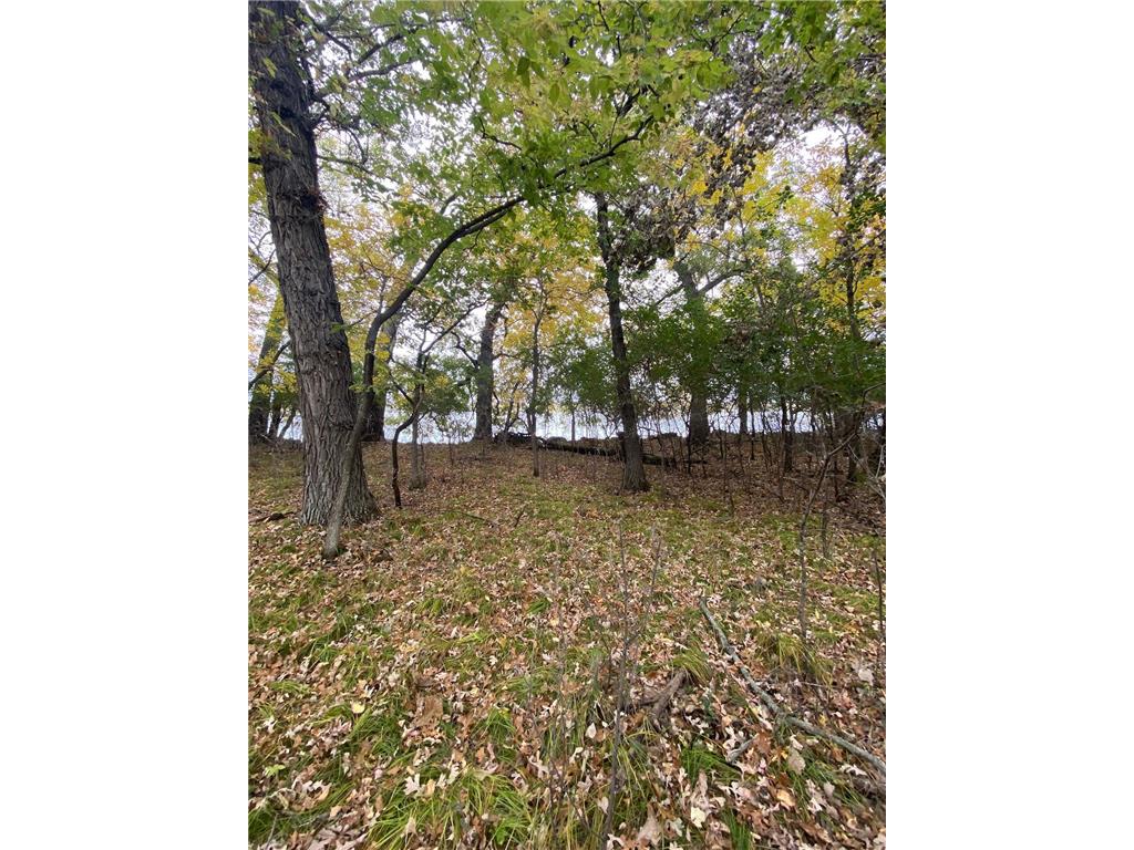 Lot 43 Lakota Island Estates Big Stone City SD 57216 - Big Stone Lake 6758345 image7