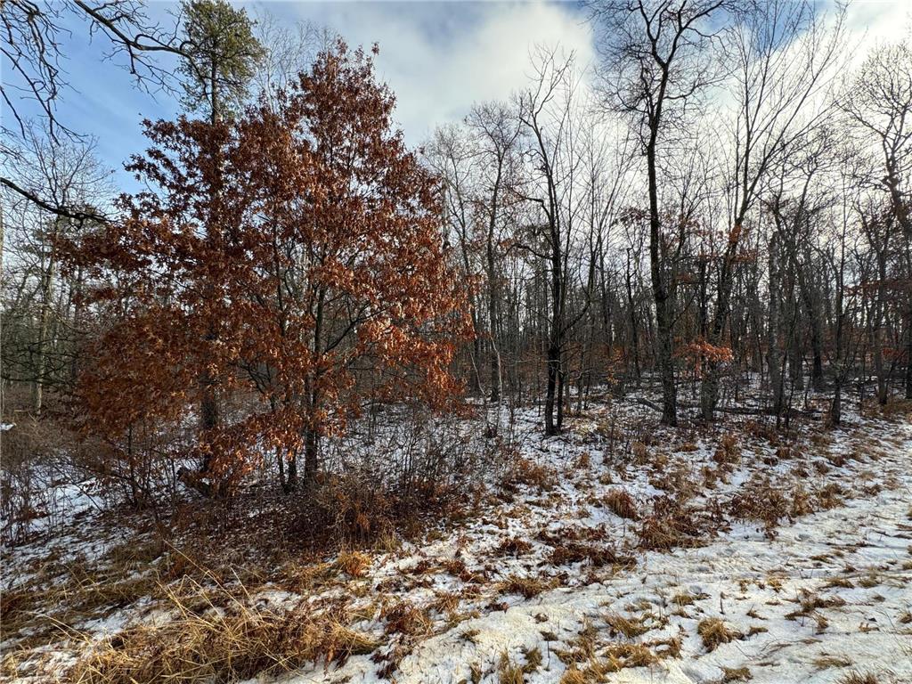 Lot 43 Ranchette Drive Breezy Point MN 56472 6643114 image1