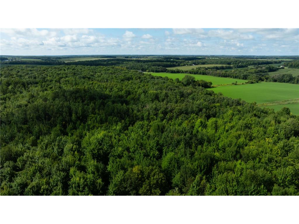 Lot 5 280th Street Glenwood City WI 54013 6822243 image5