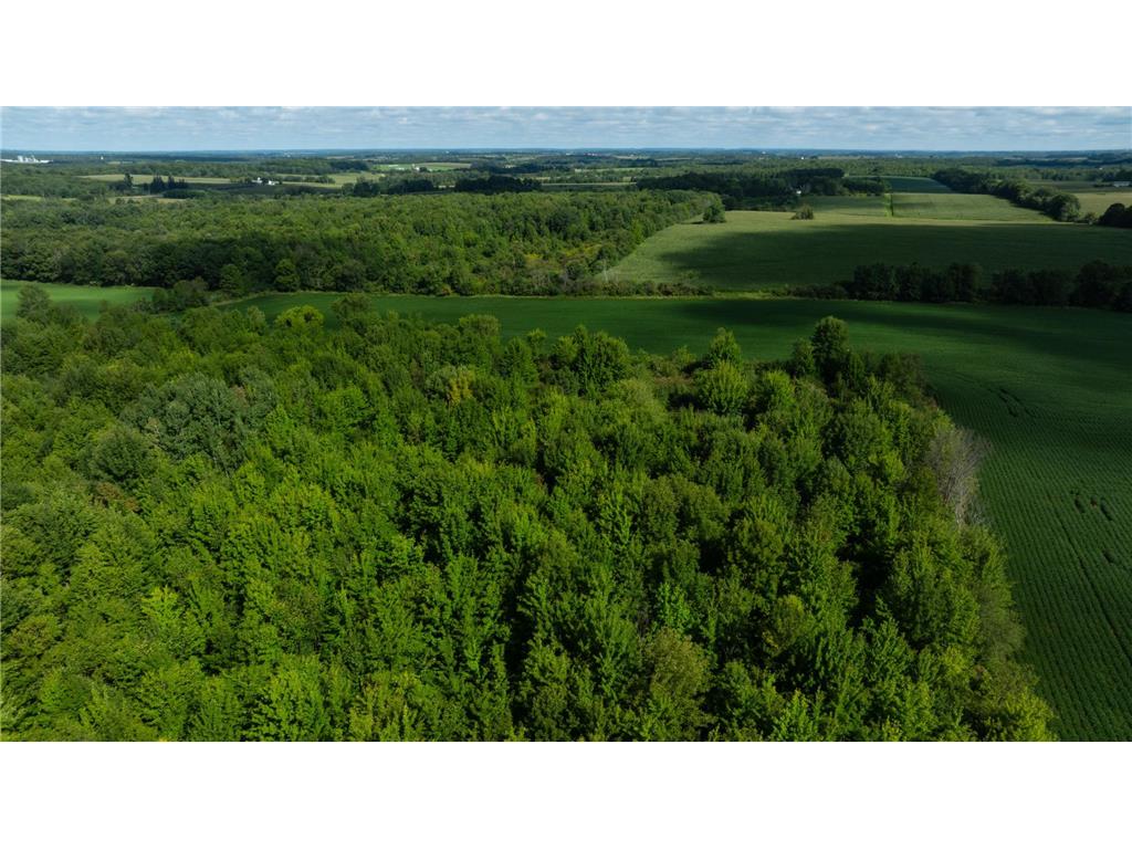 Lot 5 280th Street Glenwood City WI 54013 6822243 image7