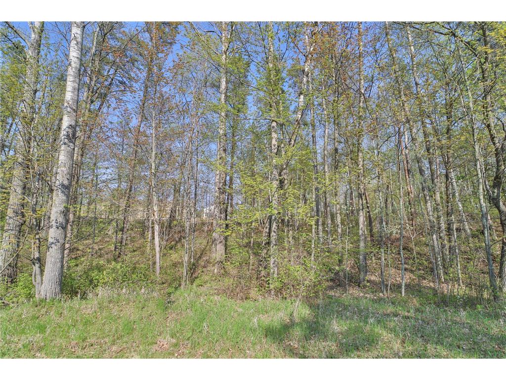 Lot 5 6 & 7 Terminal Road Breezy Point MN 56472 6684366 image3