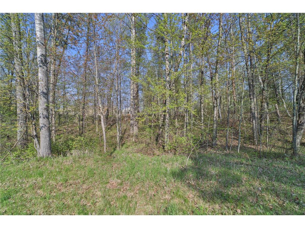 Lot 5 6 & 7 Terminal Road Breezy Point MN 56472 6684366 image9