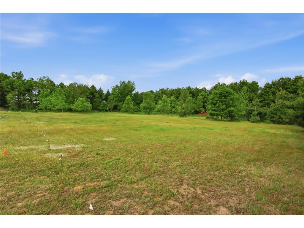 Lot 5 660th Avenue Elk Mound Twp WI 54739 7105328 image20