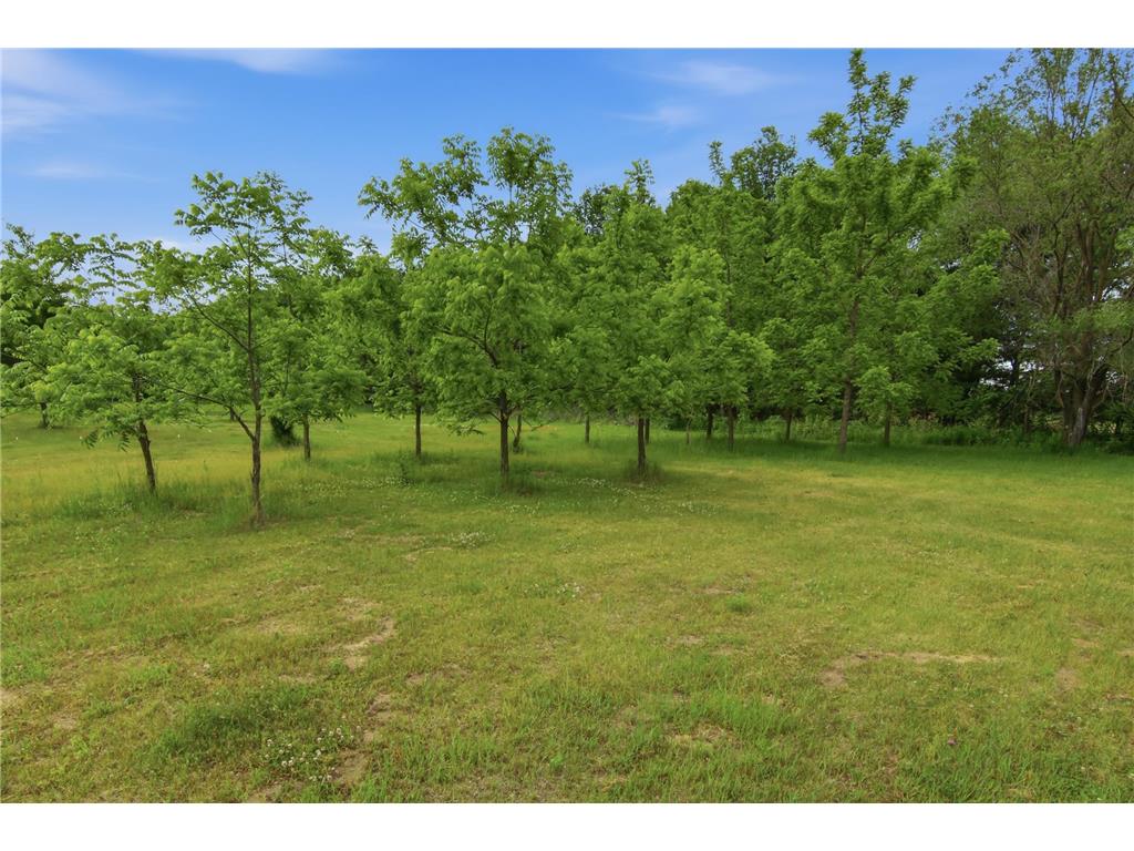 Lot 5 660th Avenue Elk Mound Twp WI 54739 7105328 image24