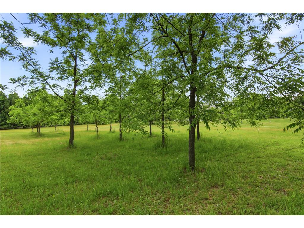 Lot 5 660th Avenue Elk Mound Twp WI 54739 7105328 image26