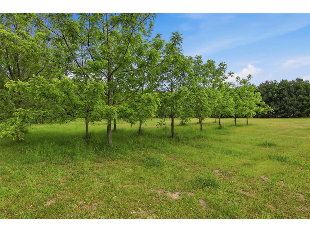 Lot 5 660th Avenue Elk Mound Twp WI 54739 7105328 image29