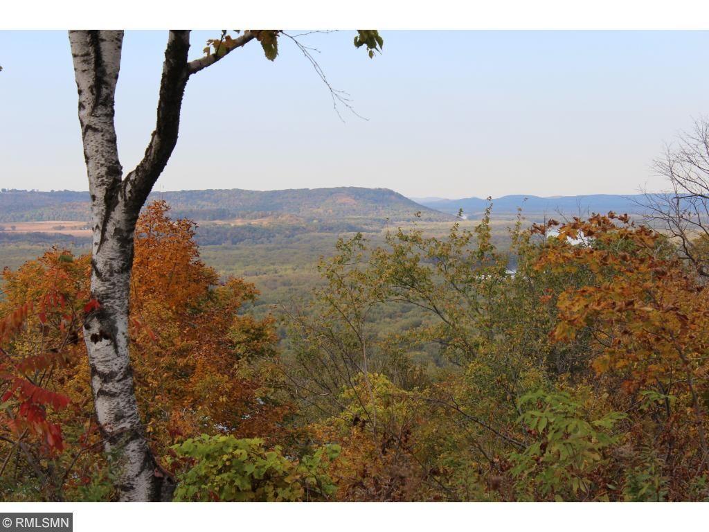 Lot 5 706th Street Wabasha MN 55981 - Mississippi 6643969 image1