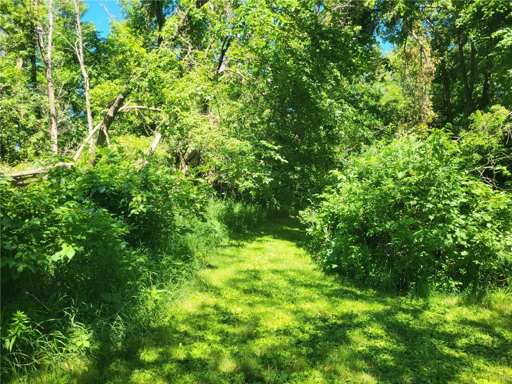 Lot 5 Big Chip Trail NW Garfield MN 56332 7102606 image3