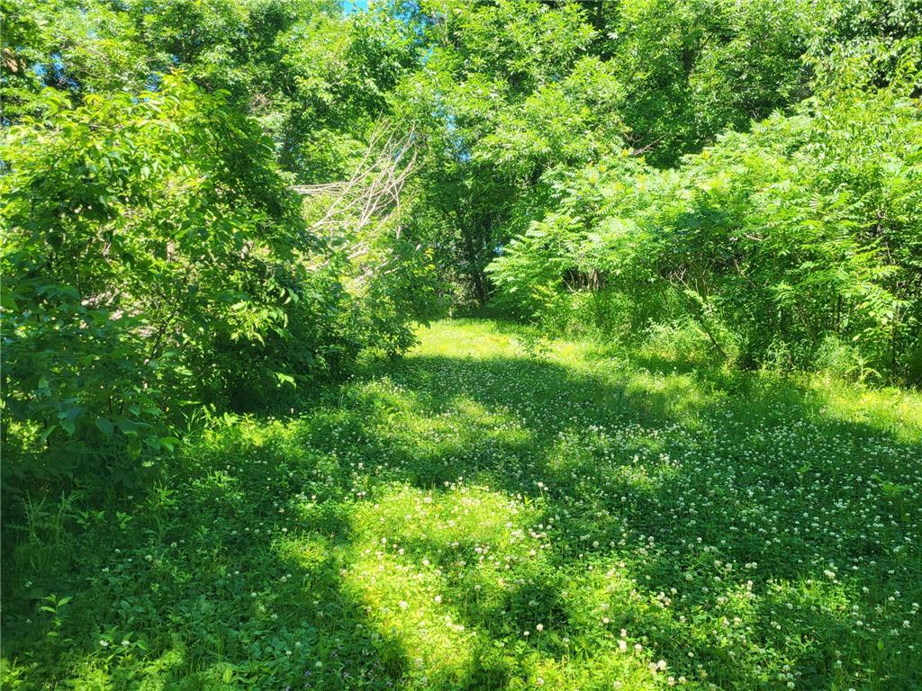 Lot 5 Big Chip Trail NW Garfield MN 56332 7102606 image7