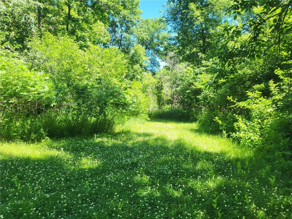 Lot 5 Big Chip Trail NW Garfield MN 56332 7102606 image8
