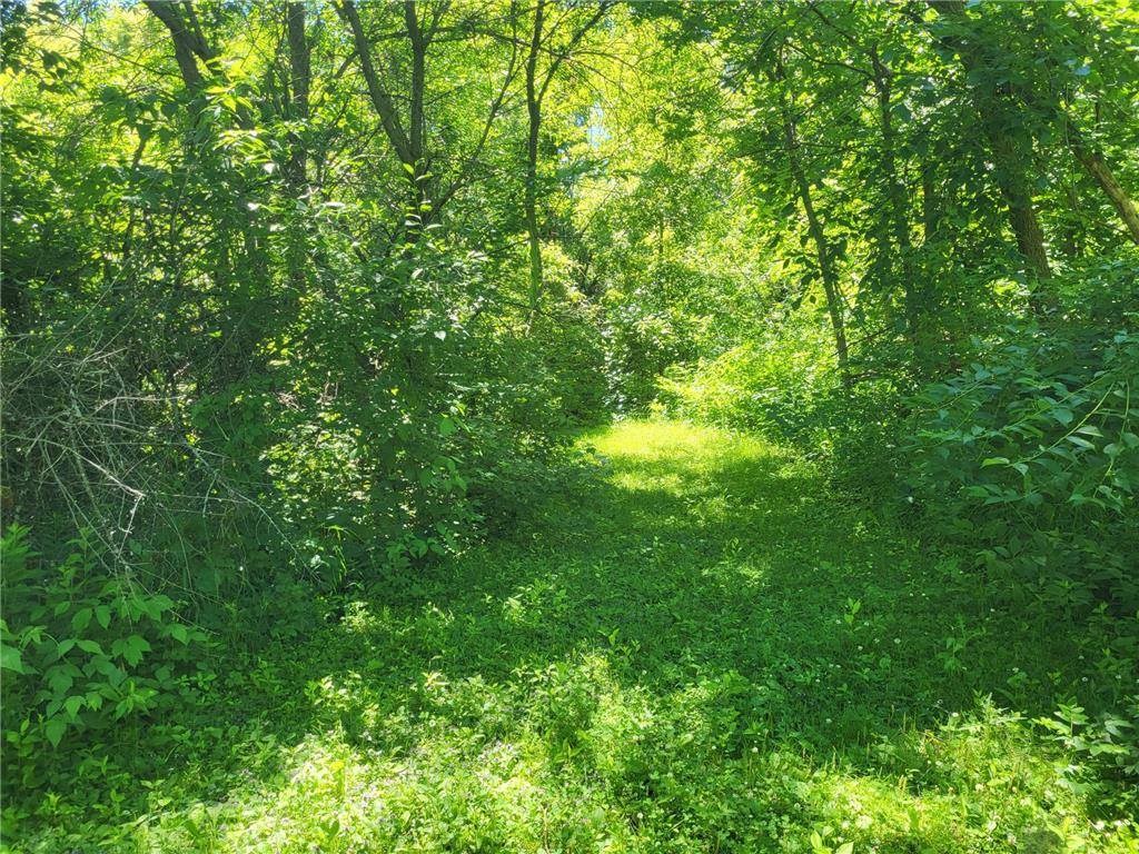 Lot 5 Big Chip Trail NW Garfield MN 56332 7102606 image9