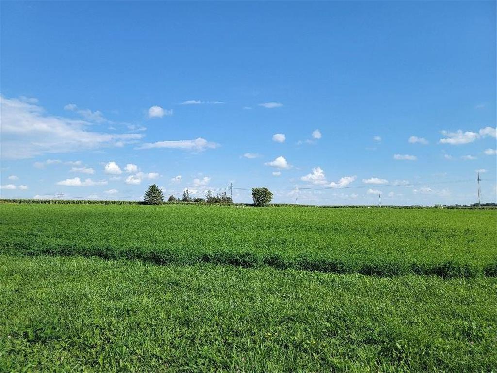 Lot 5Bk 2 3rd Avenue S Harmony MN 55939 6251545 image1