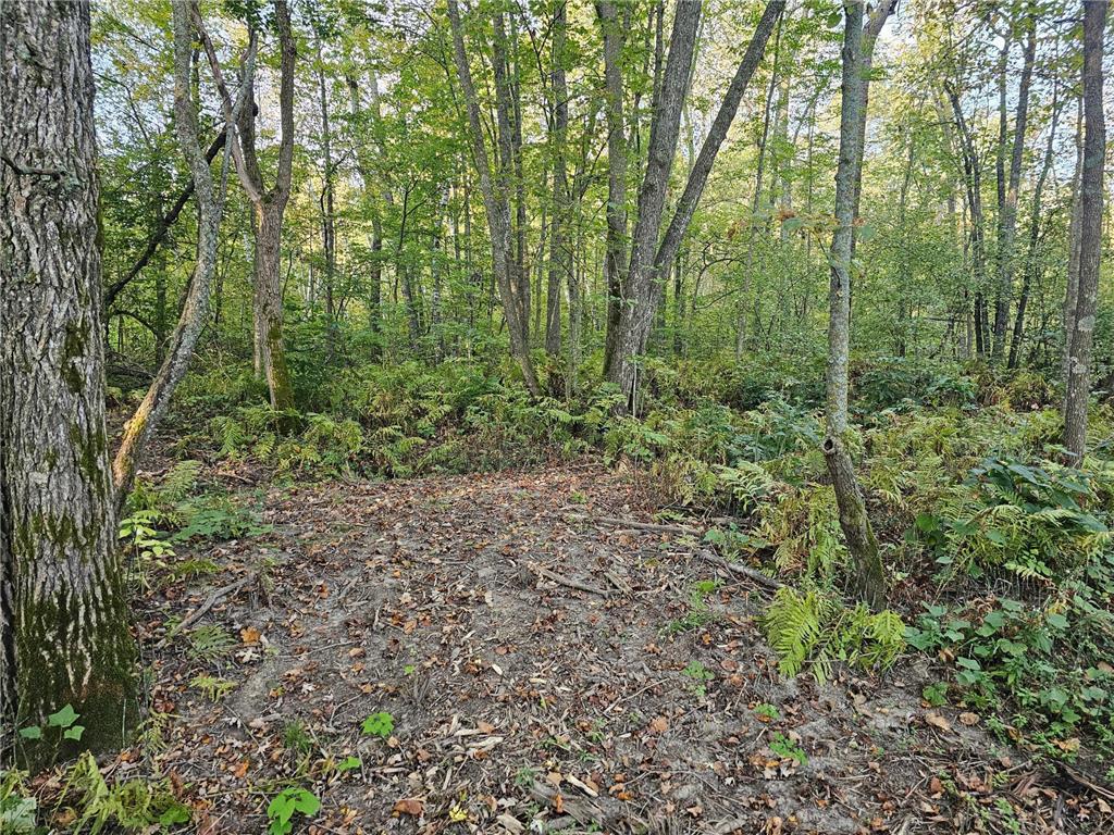 Lot 5 Blk 1 5.4 Acres County Road 30 Crosby MN 56441 - Mississippi 6603434 image11