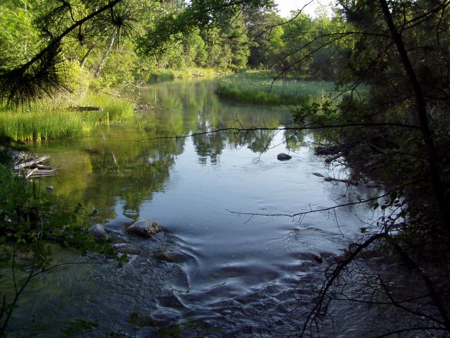 Lot 5 Blk 1 Falling Leaf Trail Park Rapids MN 56470 - Potato River 4554257 image1