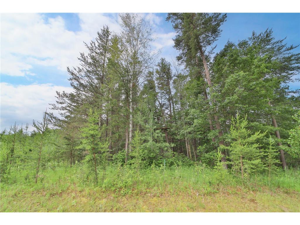 Lot 5 Block 3 Knotty Pine Drive, Baxter, MN, 56425 MLS 6506658