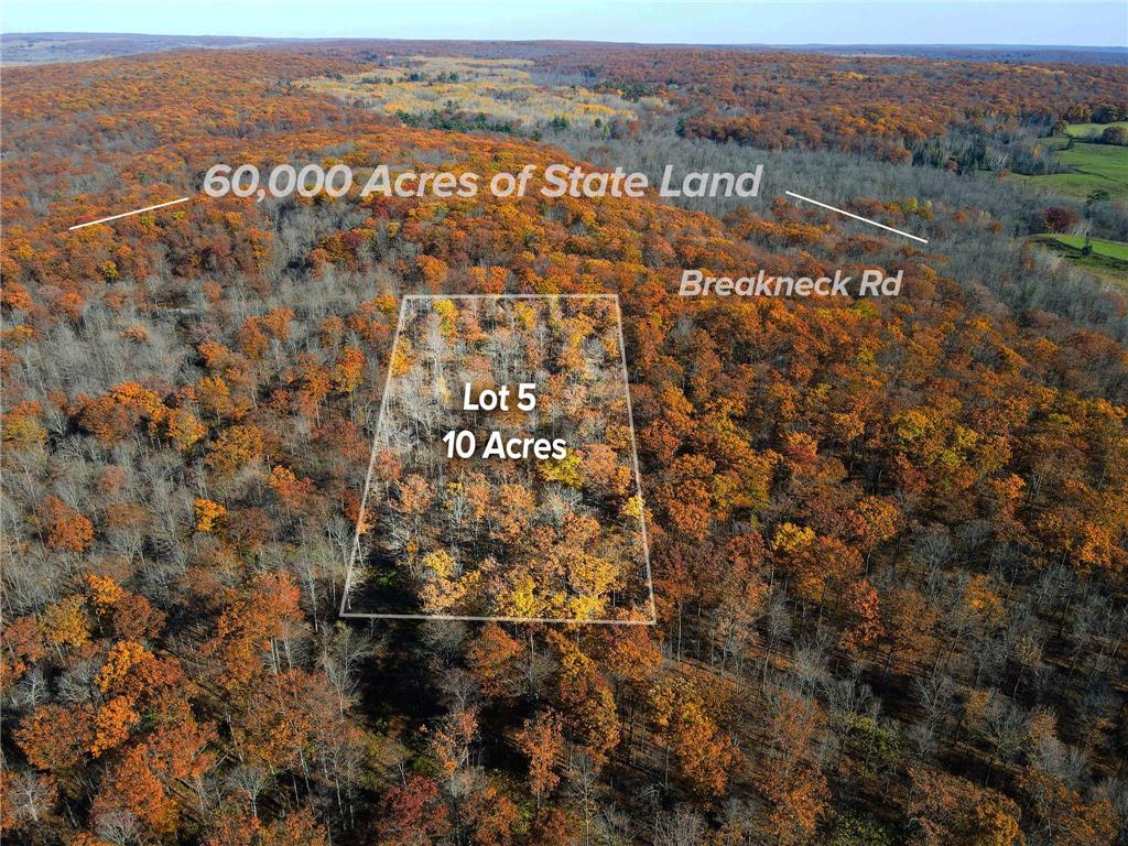 Lot 5 Breakneck Road Birchwood WI 54817 6817984 image1
