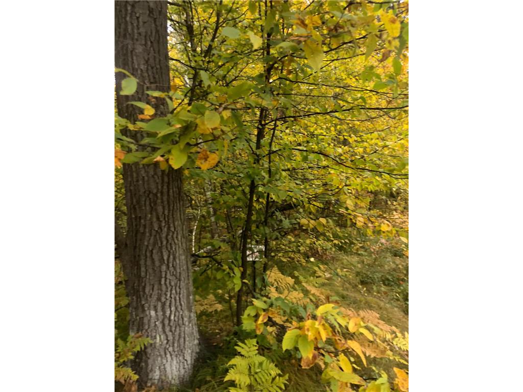 Lot 5 Castlewood Court Breezy Point MN 56472 6269088 image1