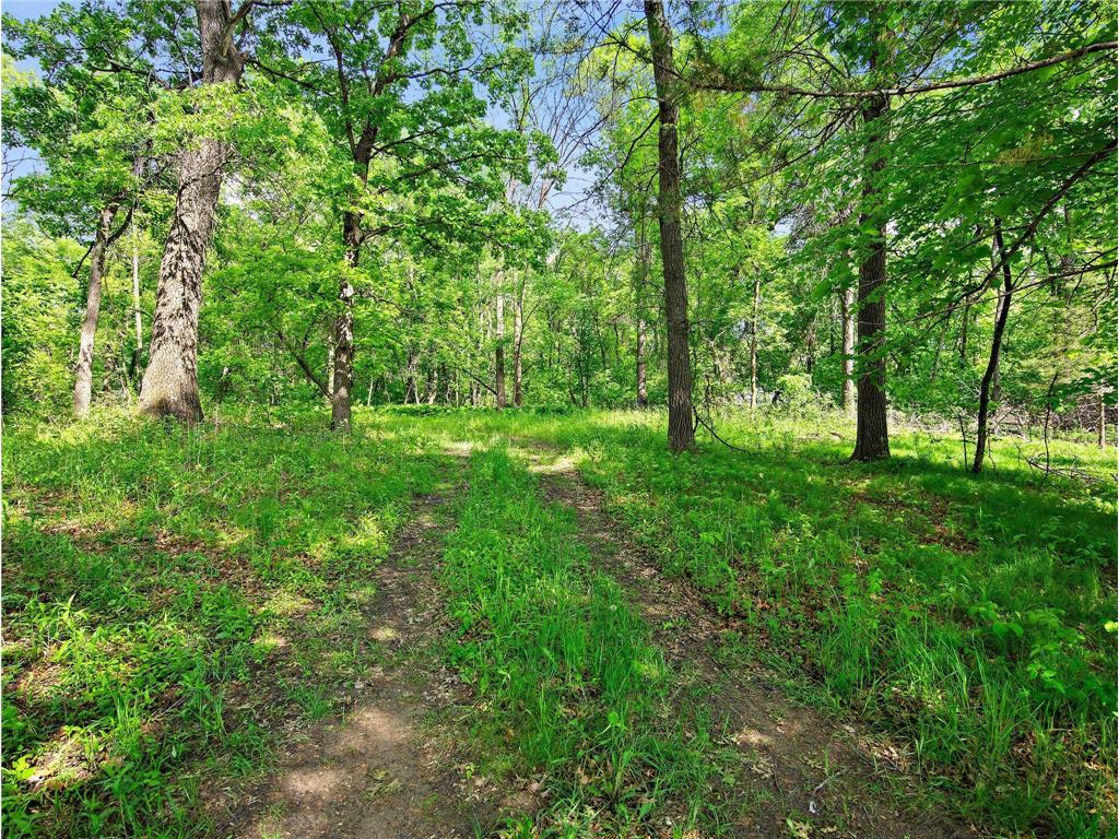 Lot 5 Central Drive NE Cambridge MN 55008 6740237 image6