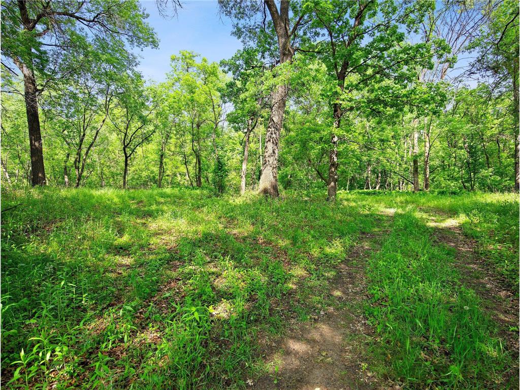 Lot 5 Central Drive NE Cambridge MN 55008 6740237 image7