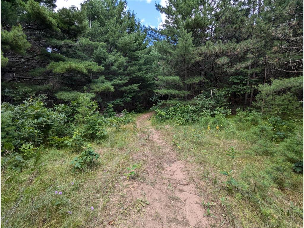 Lot 5 Fosmo Webster WI 54893 - Big Sand Lake 7041613 image1