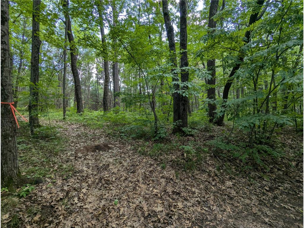 Lot 5 Fosmo Webster WI 54893 - Big Sand Lake 7041613 image2