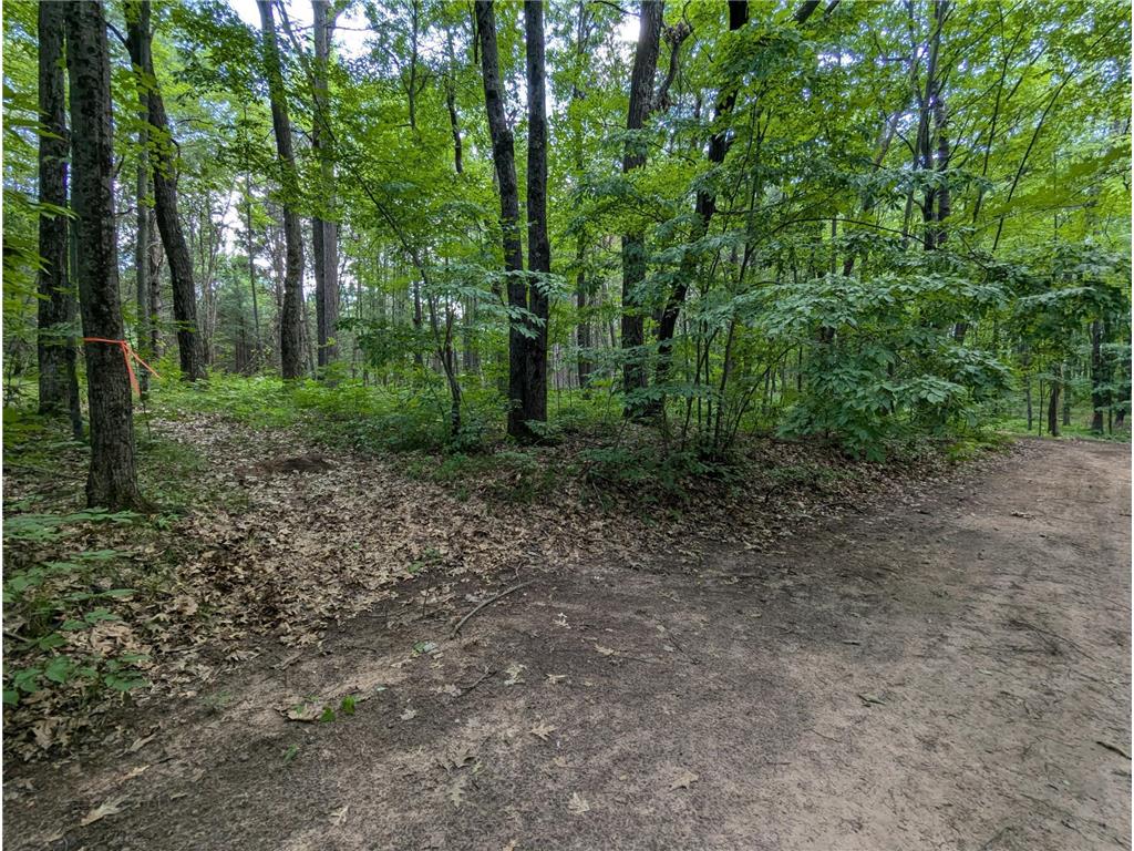 Lot 5 Fosmo Webster WI 54893 - Big Sand Lake 7041613 image3