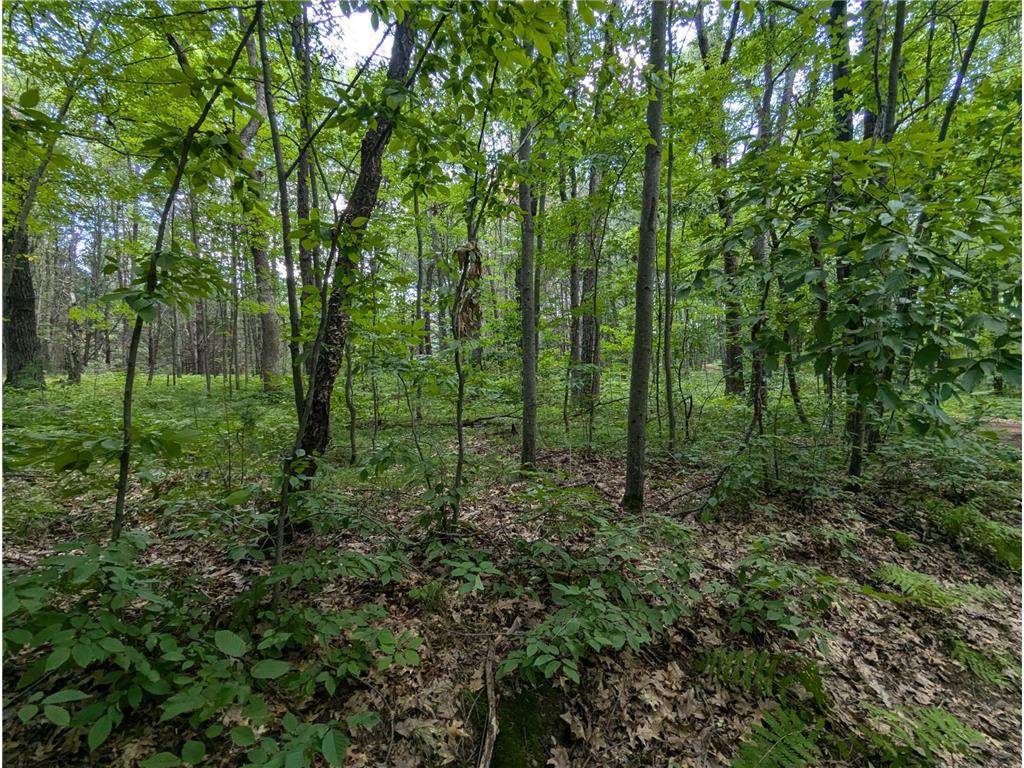 Lot 5 Fosmo Webster WI 54893 - Big Sand Lake 7041613 image4
